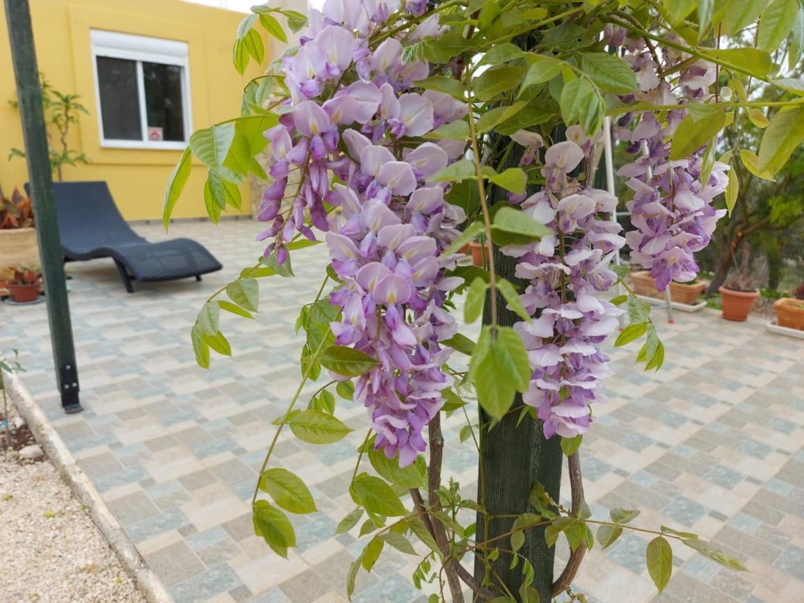 Grieks Vakantiehuis To Kalokairi Kougaíika Exteriör bild