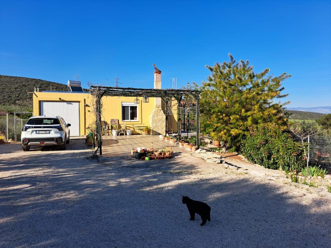 Grieks Vakantiehuis To Kalokairi Kougaíika Exteriör bild
